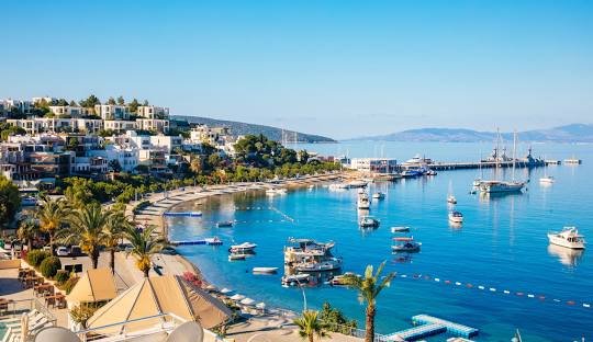buy weed in Bodrum turkey (2026)