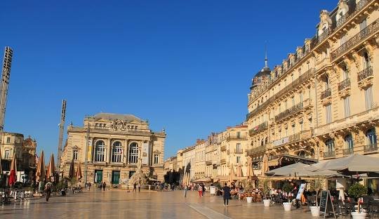 buy weed in Montpellier france (2026)