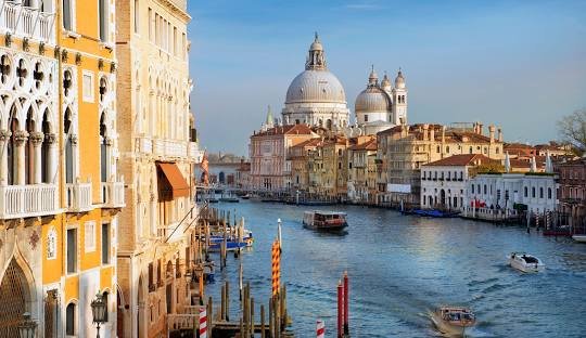 buy weed in Venice 2026