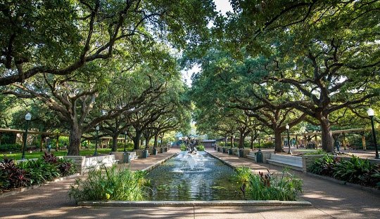 get weed in Houston texas 2026