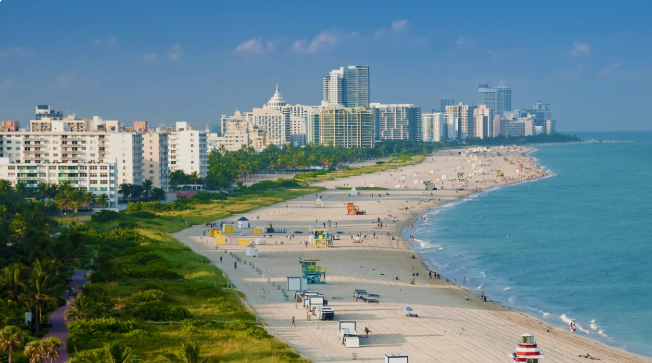 Get weed in Miami florida in 2026